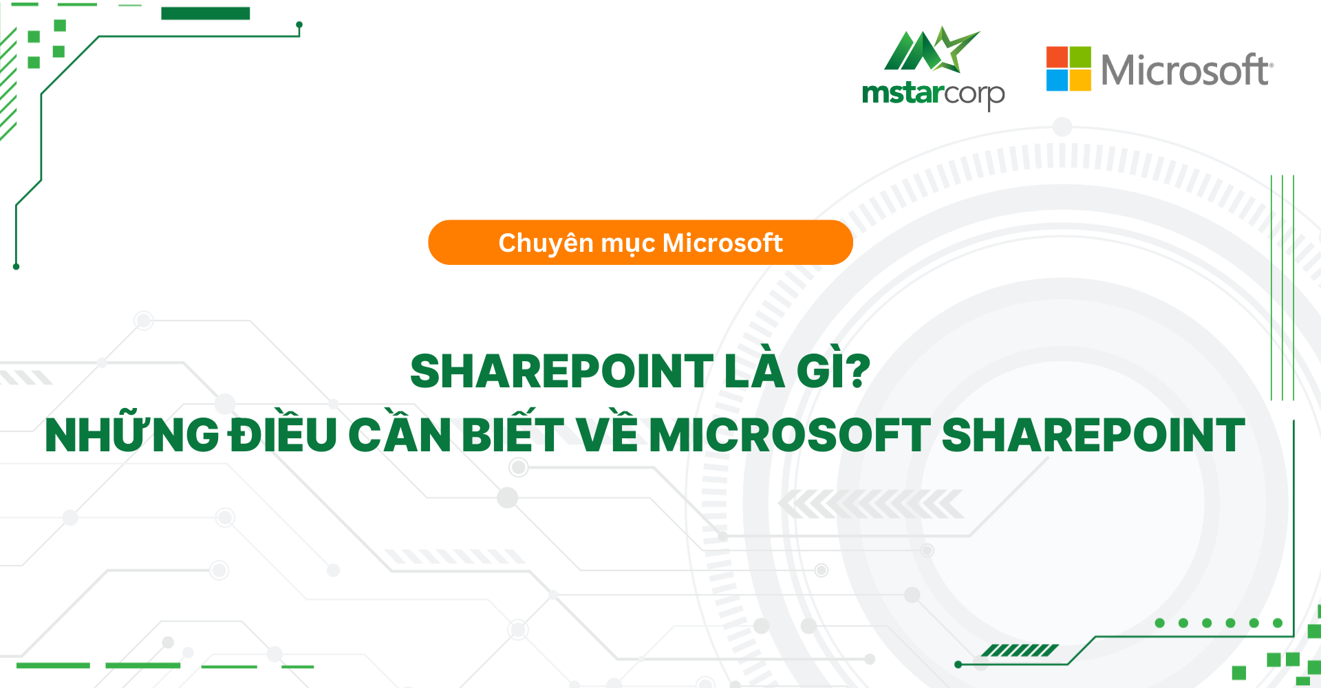 SharePoint là gì? Những điều cần biết về Microsoft SharePoint