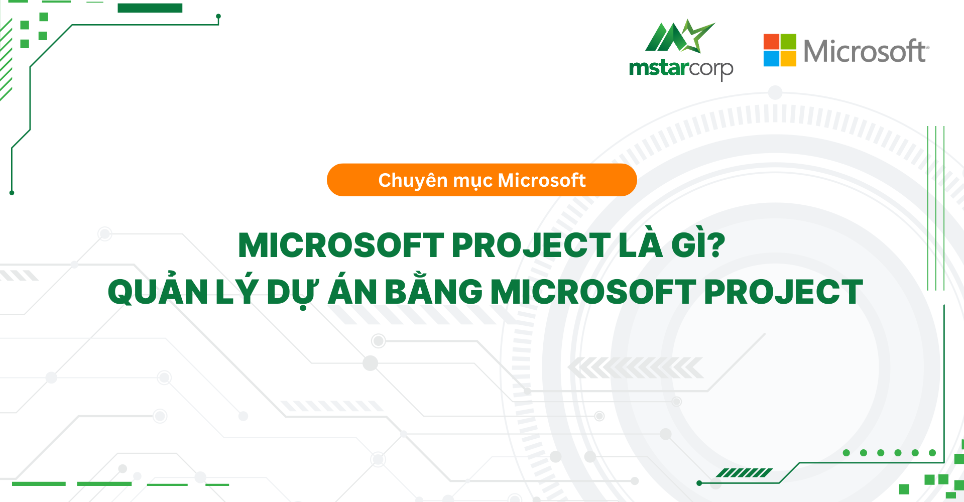 Microsoft Project là gì? Quản lý dự án bằng Microsoft Project