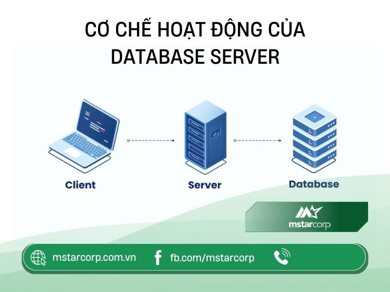 Cơ chế hoạt động của Database Server