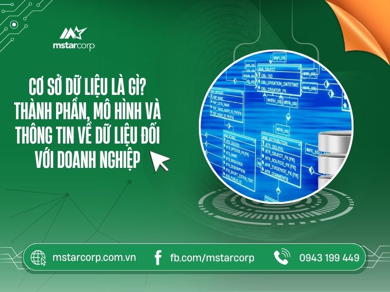 Cơ sở dữ liệu là gì? Thành phần, mô hình và các bước xây dựng database