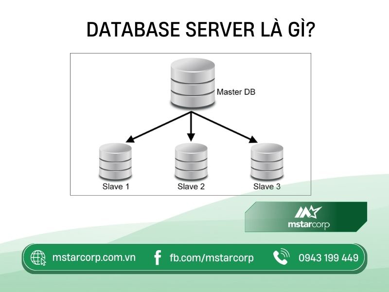 Database Server là gì