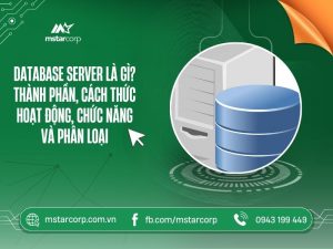 Database Server là gì? Thành phần, cách thức hoạt động, chức năng và phân loại