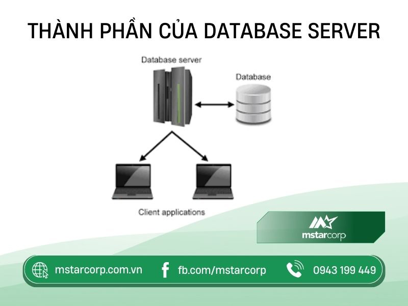 Thành phần chính của cơ sở dữ liệu