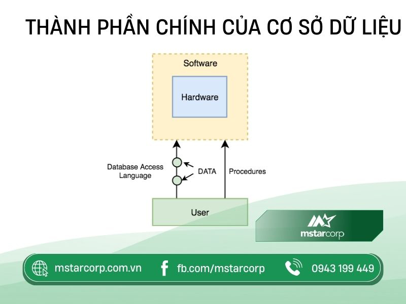 Thành phần chính của cơ sở dữ liệu