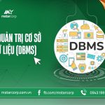 Hệ quản trị cơ sở dữ liệu (DBMS)