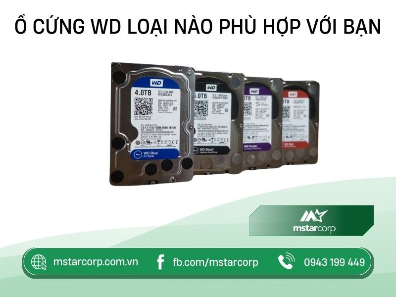 Ổ cứng WD loại nào phù hợp với bạn