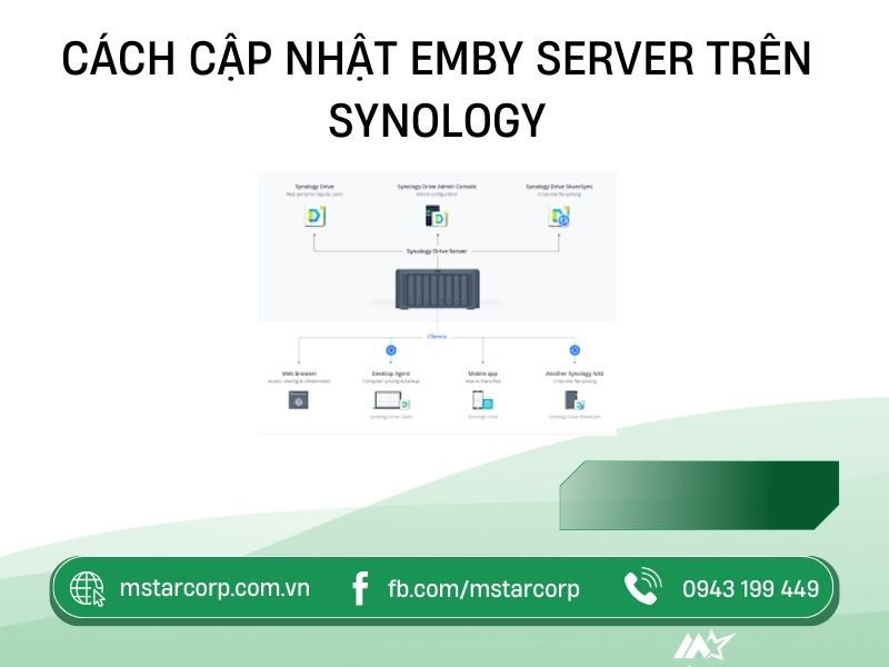 Cách cập nhật Emby Server trên Synology