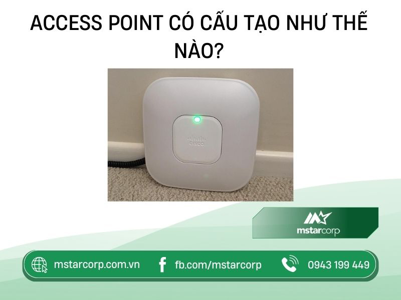 Access Point có cấu tạo như thế nào