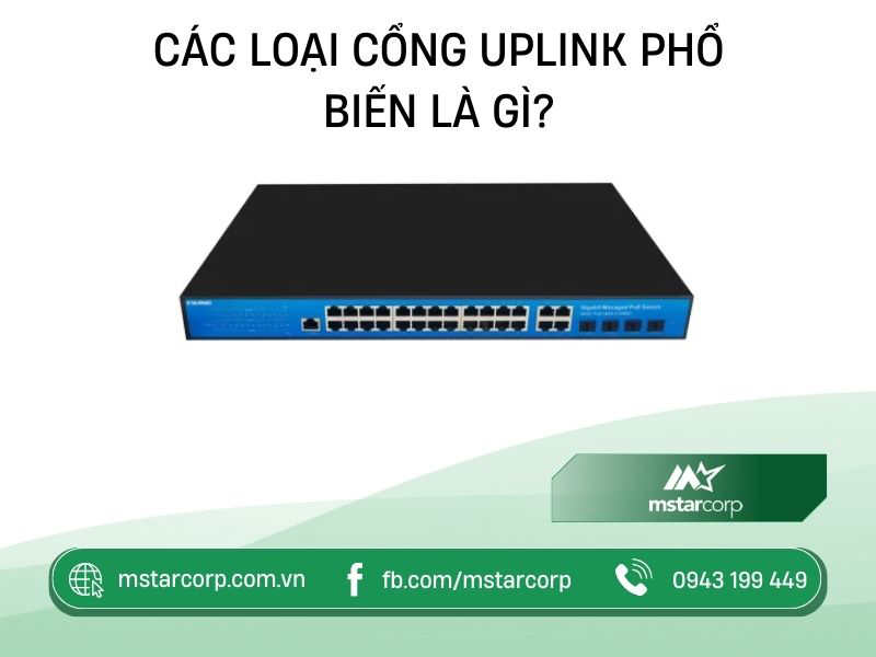 Các loại cổng uplink phổ biến là gì?