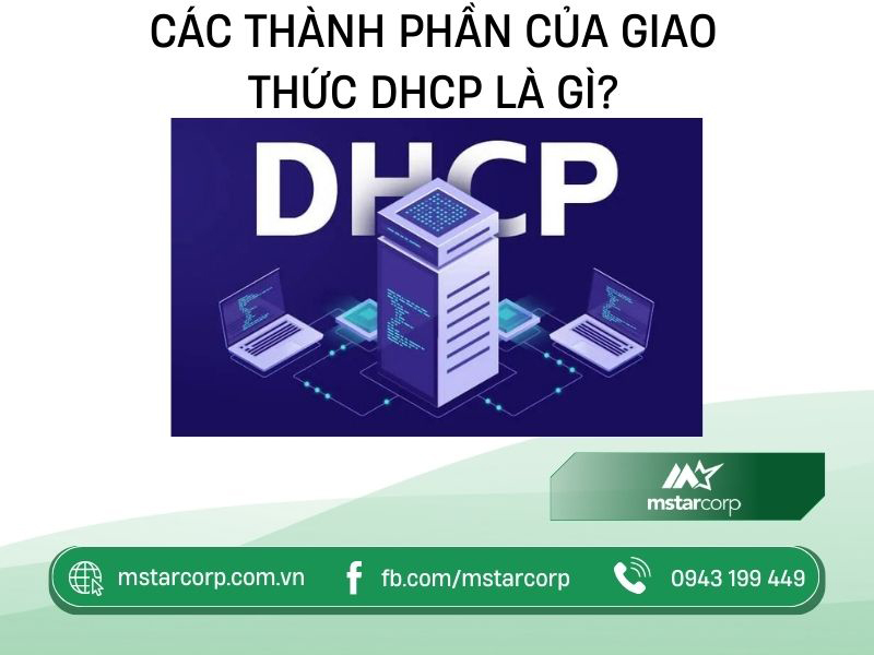 Các thành phần của giao thức DHCP là gì