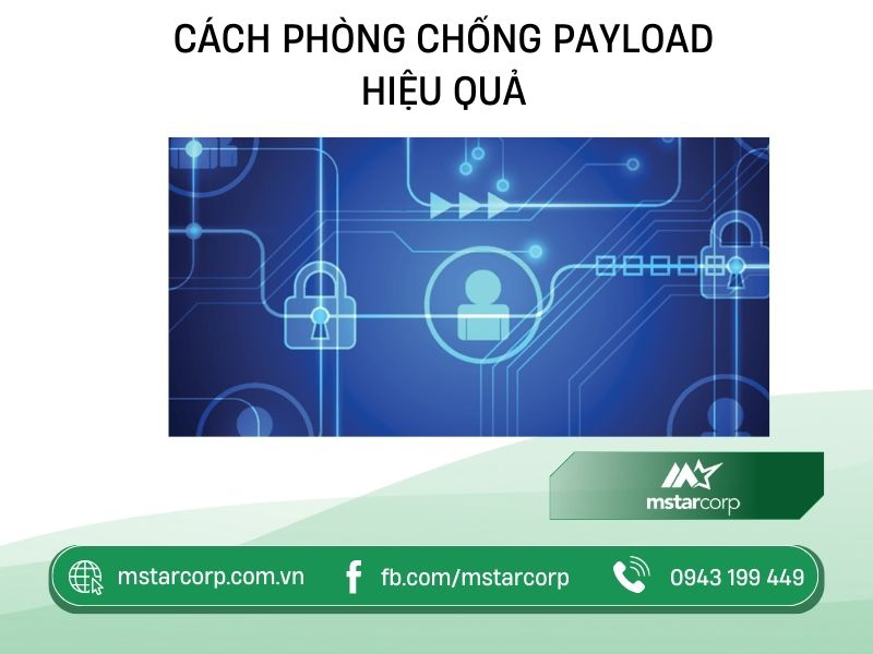 Cách phòng chống Payload hiệu quả