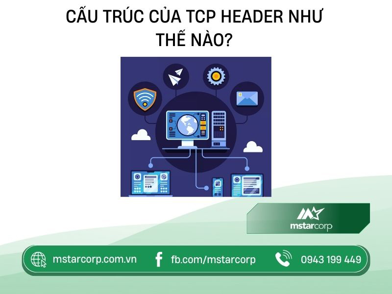 Cấu trúc của TCP Header như thế nào?