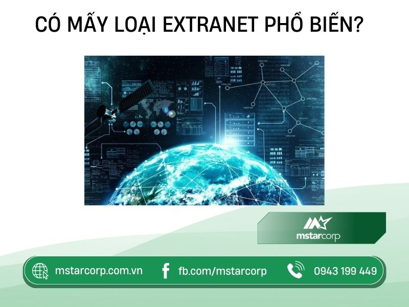 Có mấy loại Extranet phổ biến?