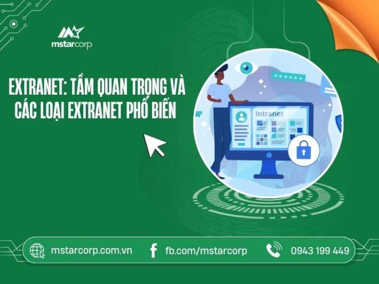 Extranet: Tầm quan trọng và các loại extranet phổ biến