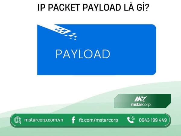 Payload là gì? Sự ảnh hưởng và cách phòng chống Payload hiệu quả