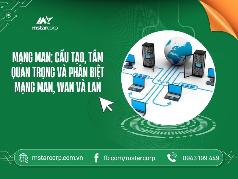 Mạng MAN: Cấu tạo, tầm quan trọng và phân biệt mạng MAN, WAN và LAN