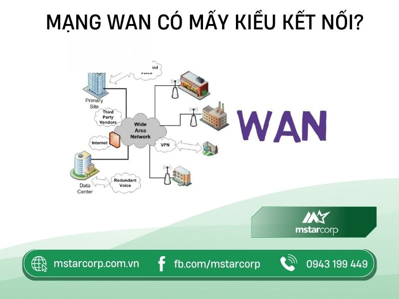 Mạng WAN có mấy kiểu kết nối?