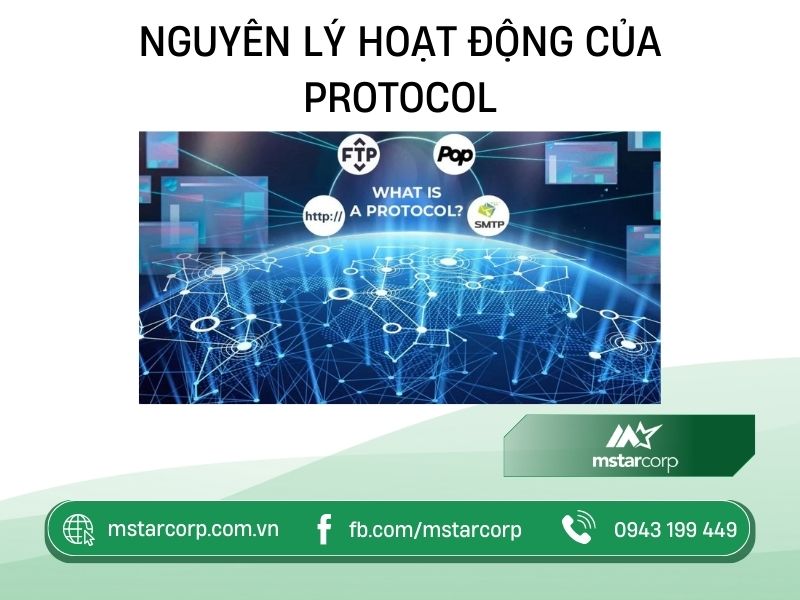 cach-thuc-hoat-dong-cua-protocol