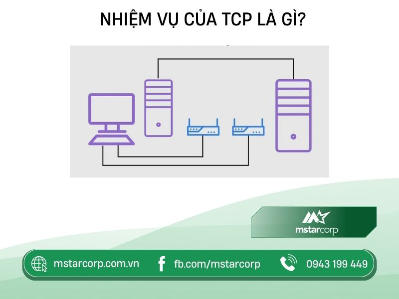 Nhiệm vụ của TCP là gì?