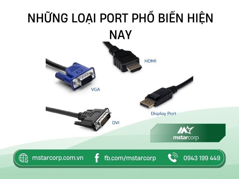 Những loại Port phổ biến hiện nay