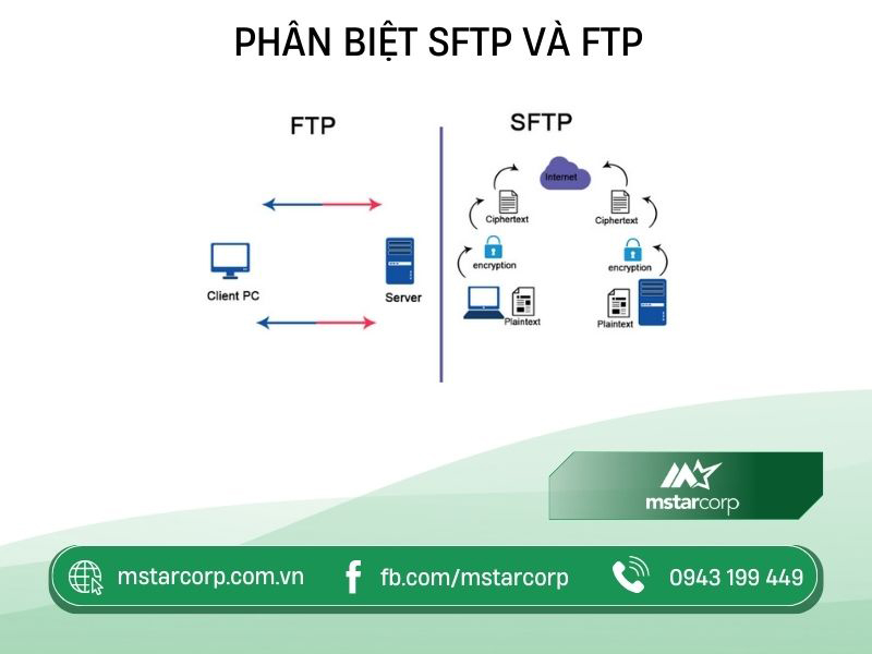 Phân biệt SFTP và FTP