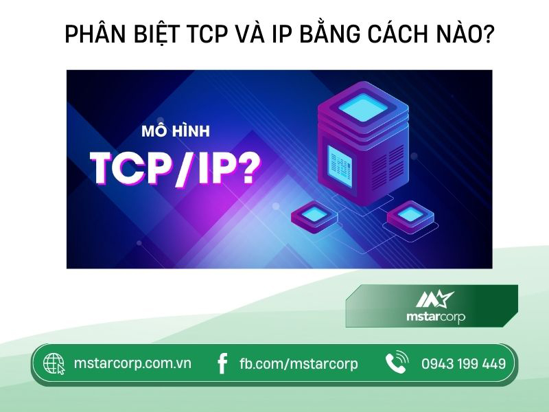 Phân biệt TCP và IP bằng cách nào?