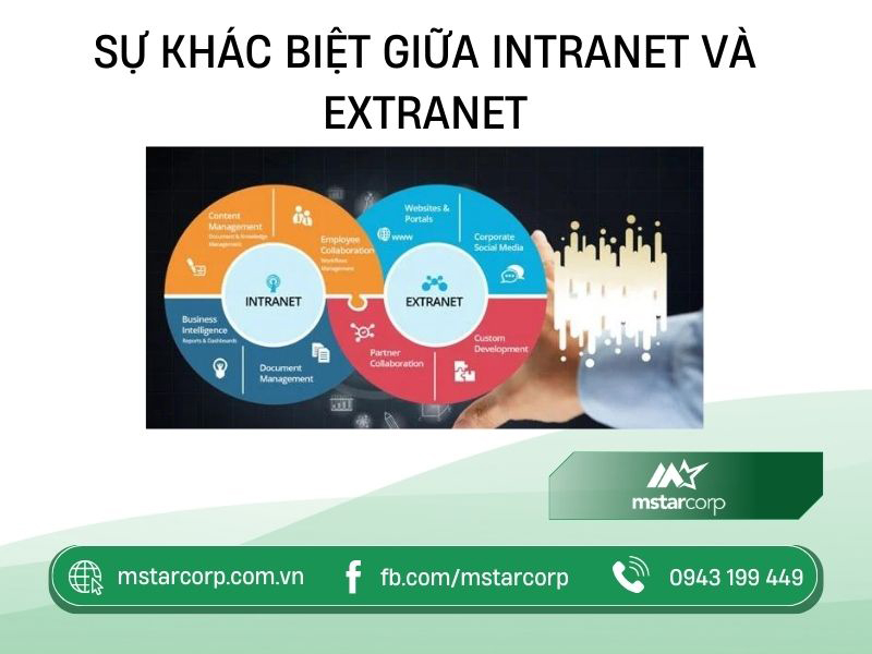 Sự khác biệt giữa Intranet và Extranet