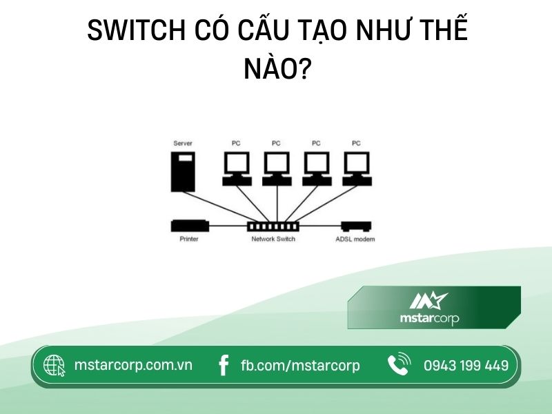 cau-tao-cua-switch