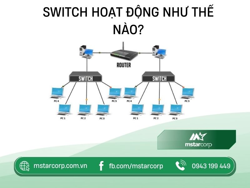 cach-hoat-dong-cua-switch