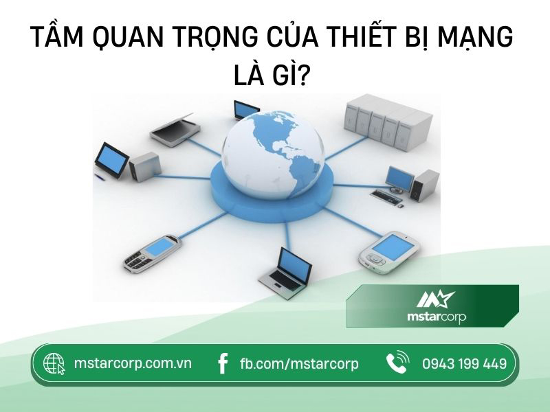 Tầm quan trọng của thiệt mạng là gì