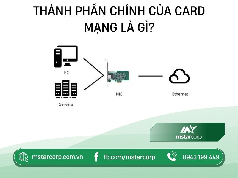 Thành phần chính của Card mạng là gì