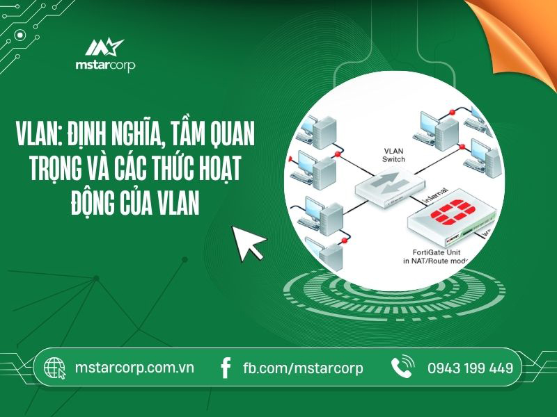 VLAN: định nghĩa, tầm quan trọng và cách thức hoạt động của VLAN