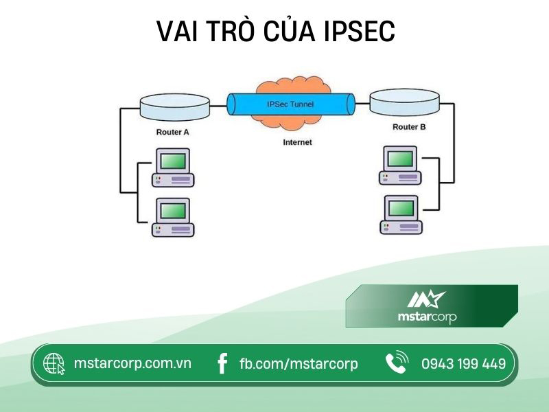 Vai trò của IPSec