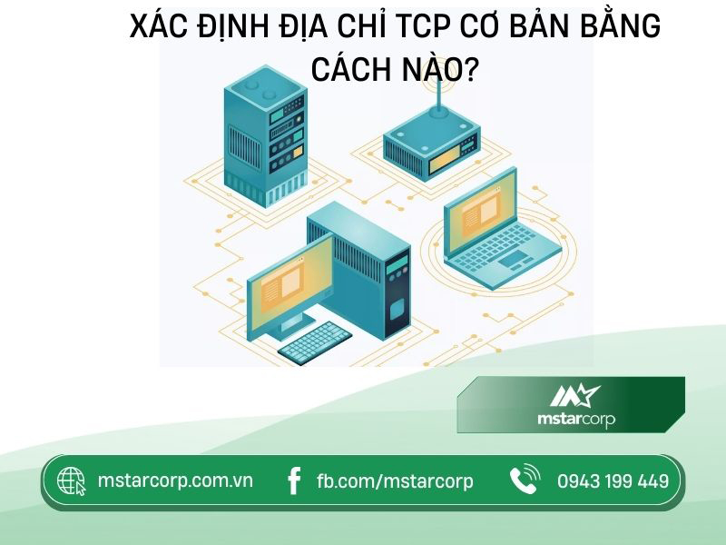 Xác định địa chỉ TCP cơ bản bằng cách nào?