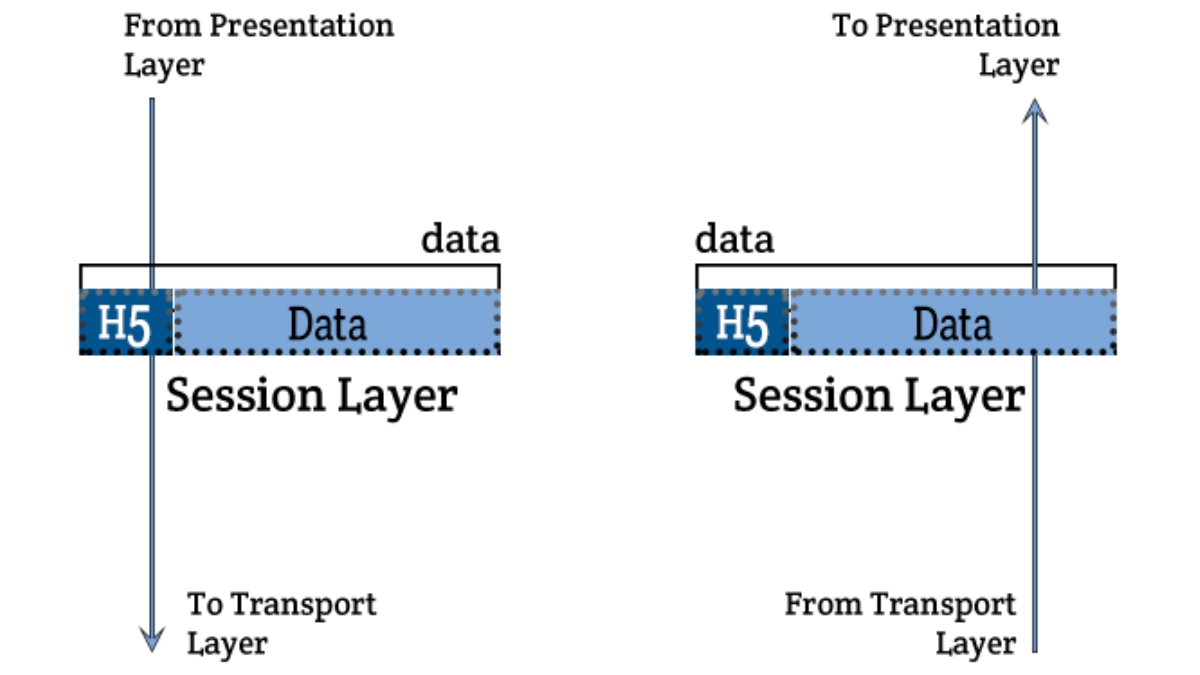 Session layer là gì?
Session layer hay còn gọi là lớp phiên, là lớp thứ năm trong mô hình OSI và có vai trò điều khiển kết nối giữa các máy tính. Nhiệm vụ chính của lớp này là thiết lập, kiểm soát và kết thúc các phiên giao tiếp giữa các ứng dụng trên các máy tính khác nhau.

Lớp phiên cung cấp các chế độ giao tiếp khác nhau để đáp ứng các yêu cầu của ứng dụng. Chế độ đơn công cho phép truyền thông một chiều, trong đó chỉ một bên truyền dữ liệu và bên còn lại nhận. Chế độ bán song công cho phép truyền thông hai chiều nhưng không đồng thời, tức là chỉ một bên truyền hoặc nhận dữ liệu tại một thời điểm. Chế độ song công cho phép truyền thông hai chiều đồng thời, trong đó cả hai bên có thể truyền và nhận dữ liệu cùng một lúc.

Lớp phiên cũng tương tác với các lớp khác trong mô hình OSI. Nó giao tiếp trực tiếp với presentation layer để đảm bảo việc truyền thông dữ liệu được hiển thị đúng cách. Ngoài ra, lớp phiên còn liên kết với transport layer để đảm bảo quá trình truyền dữ liệu diễn ra một cách đáng tin cậy.