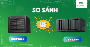 ds2422+ vs ds1825+