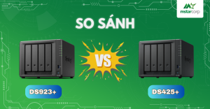 DS425+ vs DS923+
