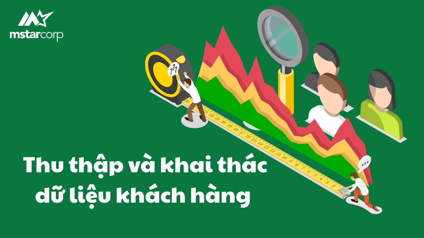 D2C giúp Thu thập dữ liệu khách hàng